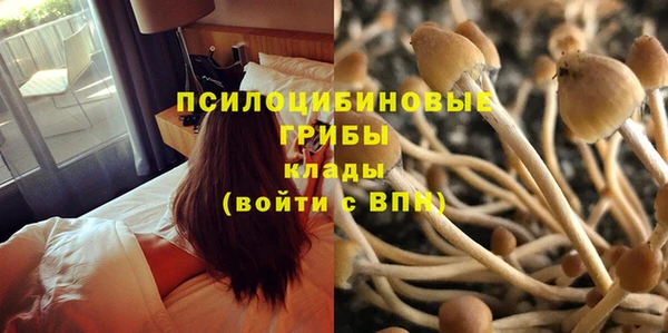 альфа пвп Заволжье
