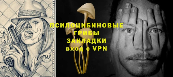 хмурый Елизово