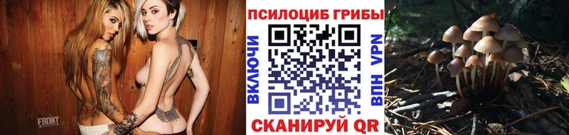Купить закладки  Кудрово  Галлюциногенные грибы мухоморы 